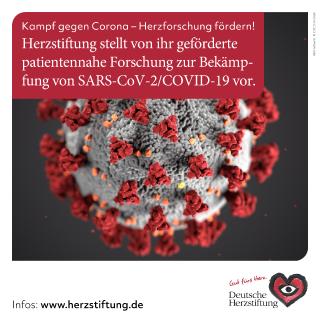 Collage: Gestaltung: Stefanie Schaffer/DHS; Foto: CDC/Unsplash