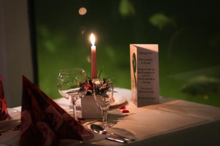 Wildpark MV, Candle Light Dinner / Foto: R. M. Weisner