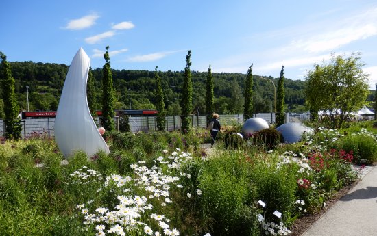 2016-06-02 15.58.22.jpg