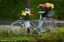 Fahrrad