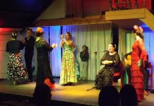 Flamenco Show Birkenried