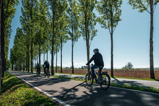 Reichenau-Allee-Radfahren-Fahrradweg-03_Copyright_MTK-Christoph-Partsch.jpg