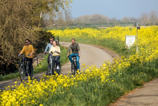 Radfahren durch die Brabanter Natur (c)VisitBrabant.jpg