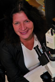 sabine_linek_mikroskop.jpg