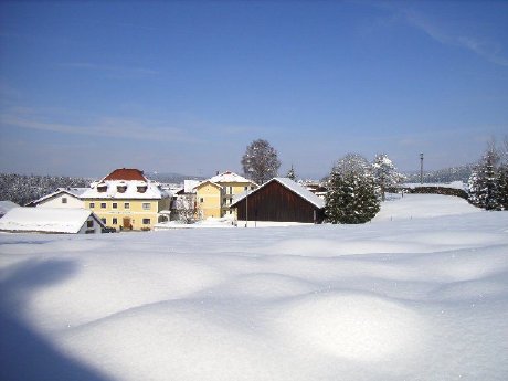 winterbild.jpg