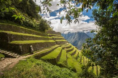Einblick in den Inka Trail ©Christian Declercq