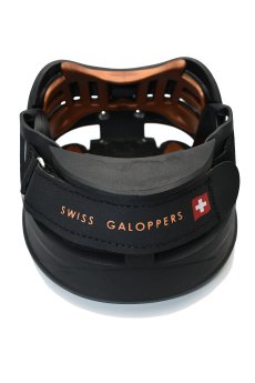 Swiss Galoppers - Die L Version steht. Produziert bei der GUDO AG im Kanton Aargau..jpg