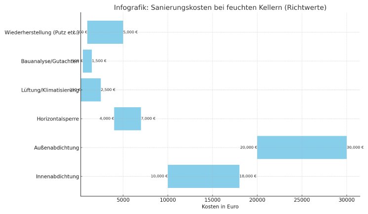 Sanierungskosten_Feuchte_Keller.png