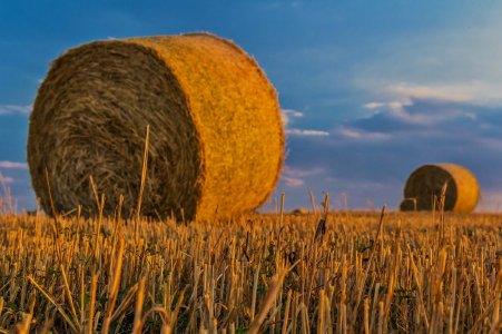 Regionale Landwirtschaft und Bio-Wertschöpfungsketten; Titelbild der Veranstaltung