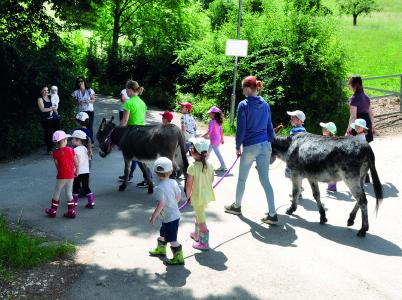 Landluft schnuppern: Bauernhoftage auf dem Freihof-Gelände