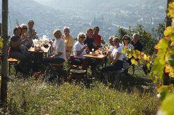 Aktiv Genießen beim langen WeinWanderWochenende