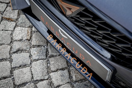 20220909 - 113514 - Tuning Livestream 2022 - Cupra Formentor BSR - Alexander Stobinski.jpg