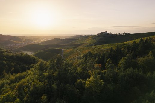 Badische Weinstraße © Dell_Schwarzwald Tourismus (2).jpg