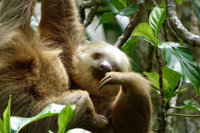 Bilder Costa Rica © Andreas Mayr (9).JPG