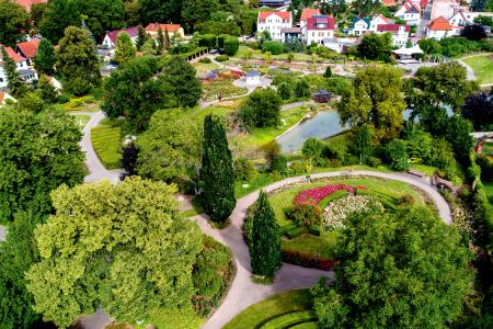Blütenmeer im Rosengarten