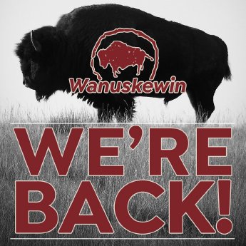 Bisons back in Wanuskewin_Credit Wanuskewin.jpg