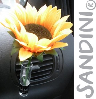 Autovase mit Sonnenblume_Logo.jpg