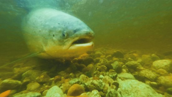 Filmstill-13 ©Nacona Filmproduktion.jpg