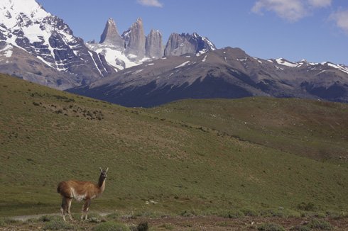 Patagonien-Torres-del-Paine NP (SA).jpg