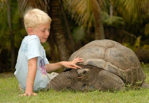 1_Junge mit Riesenschildkröte © Seychelles Tourism Board.jpg