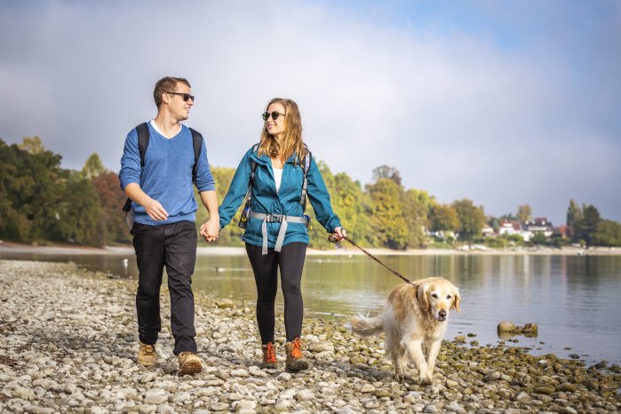 Konstanz-Bodensee-Ausflug-Spaziergang-Wandern-Seeufer-Hund-Strand-04_Herbst_Copyright_MTK-D.jpg