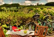 Paradies für Mountainbiker