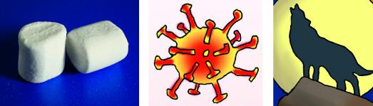 Zum Artikel passend Marshmallow- Coronavirus und ein Wolf