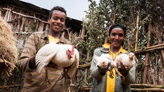 Hühner für Äthiopien - Zukunft schenken_Bildnachweis Stiftung Menschen f....jpg