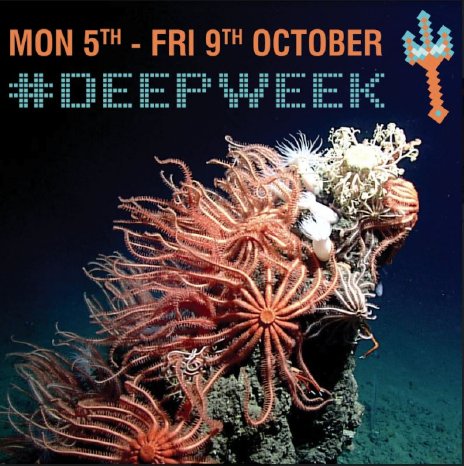 Deep-Week-03.JPG