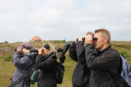 Geo Tag der Artenvielfalt Vogelbestimmung Foto Nationalparkverwaltung
