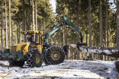 Sturmtief Eberhardt - Landesforsten warnen vor Betreten der Wälder