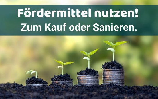 _Blog Fördermittel (1280 x 800 px).jpg