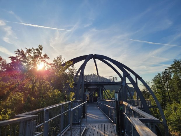 bad_harzburg(c)yoga_baumwipfelpfad.jpeg