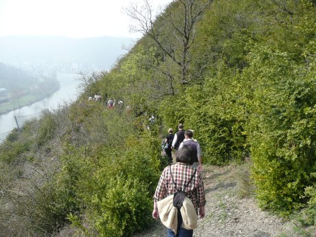 Saisoneröffnung Buchsbaum-Wanderpfad (2).JPG