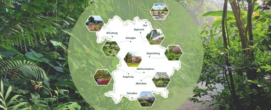 4 Botanische Gärten in Bayern_Grafik-Montage-2.jpg