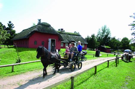 Landleben 2009: Urlaubsideen für Familien