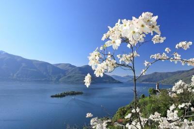 Panoramaspaziergang Monte Verità – Ronco sopra Ascona