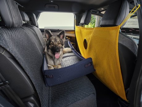 PEUGEOT E-5008 Dog Edition Concept 3.jpg