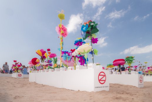 Zoute Beach Flower (3) (1).jpg