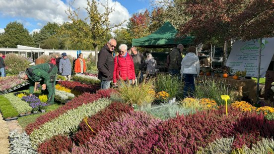 PM_pdg_herbstmarkt_2025 (1).jpg
