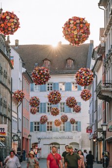 Konstanz-BlumenBaelle-Kanzleistrasse-15_Fruehling_Copyrig.jpg&fileId=3170977488&x=1920&y=1080&a=true