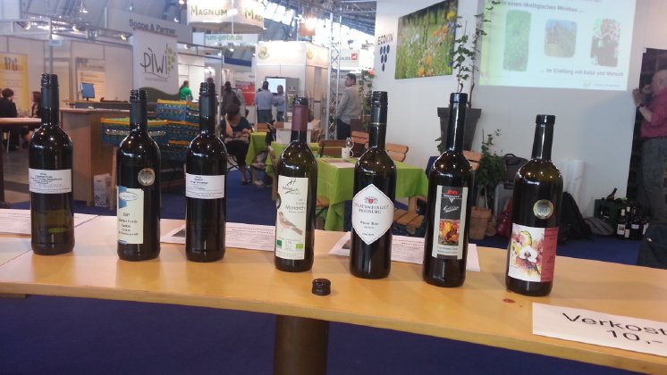 WINE System AG - PIWI Weine - präsent auf internationalen Messen.jpg