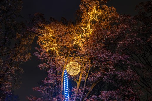 Christmas Garden _Clemens ©Christmas Garden-Michael Clemens (34).jpg