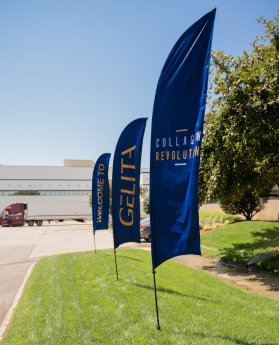 Collagen Revolution_flags.jpg