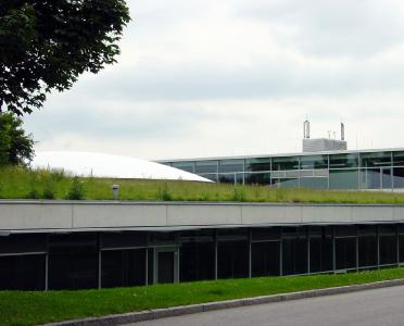 Die „grüne Lunge“ auf dem Dach: Eine solche Wildwiese bietet Lebensraum für Insekten
