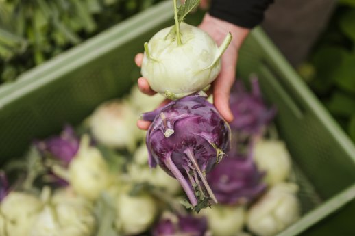 Bäuerliche Genusspromenade - © Armin Terzer - WEB 230519115005.jpg