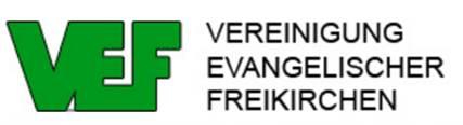 © Logo: VEF