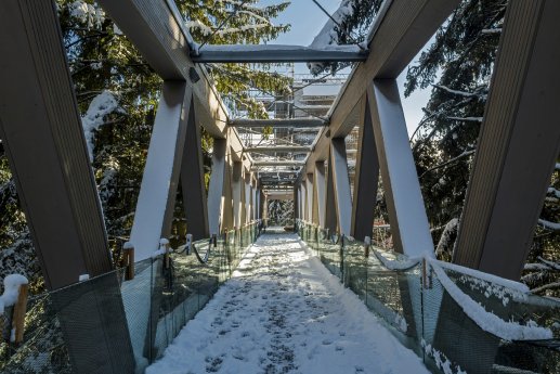 Winterzauber_Bruecke_LuisScheuermann.jpg