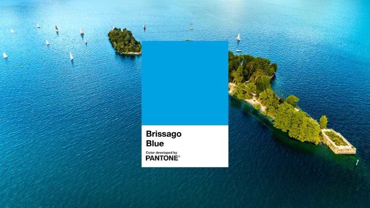 Brissago Blue chip-Enrico Pescantini.jpg
