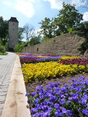 Arboretum_Hendrik Offenhammer (1).JPG